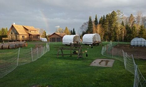 Never a Dull Moment Image